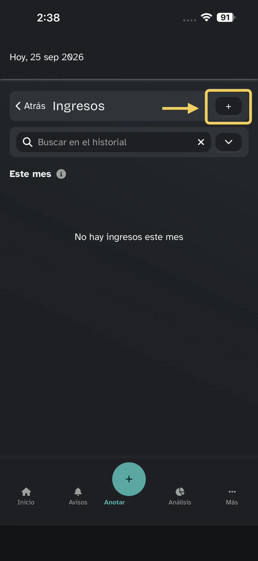 Ingresos; énfasis en +